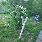 Robinzonski Smjestaj 
