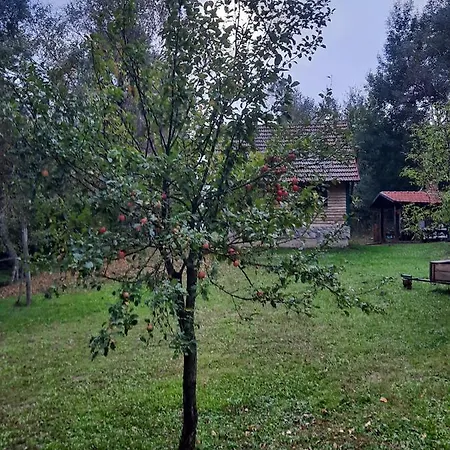 Robinzonski Smjestaj 